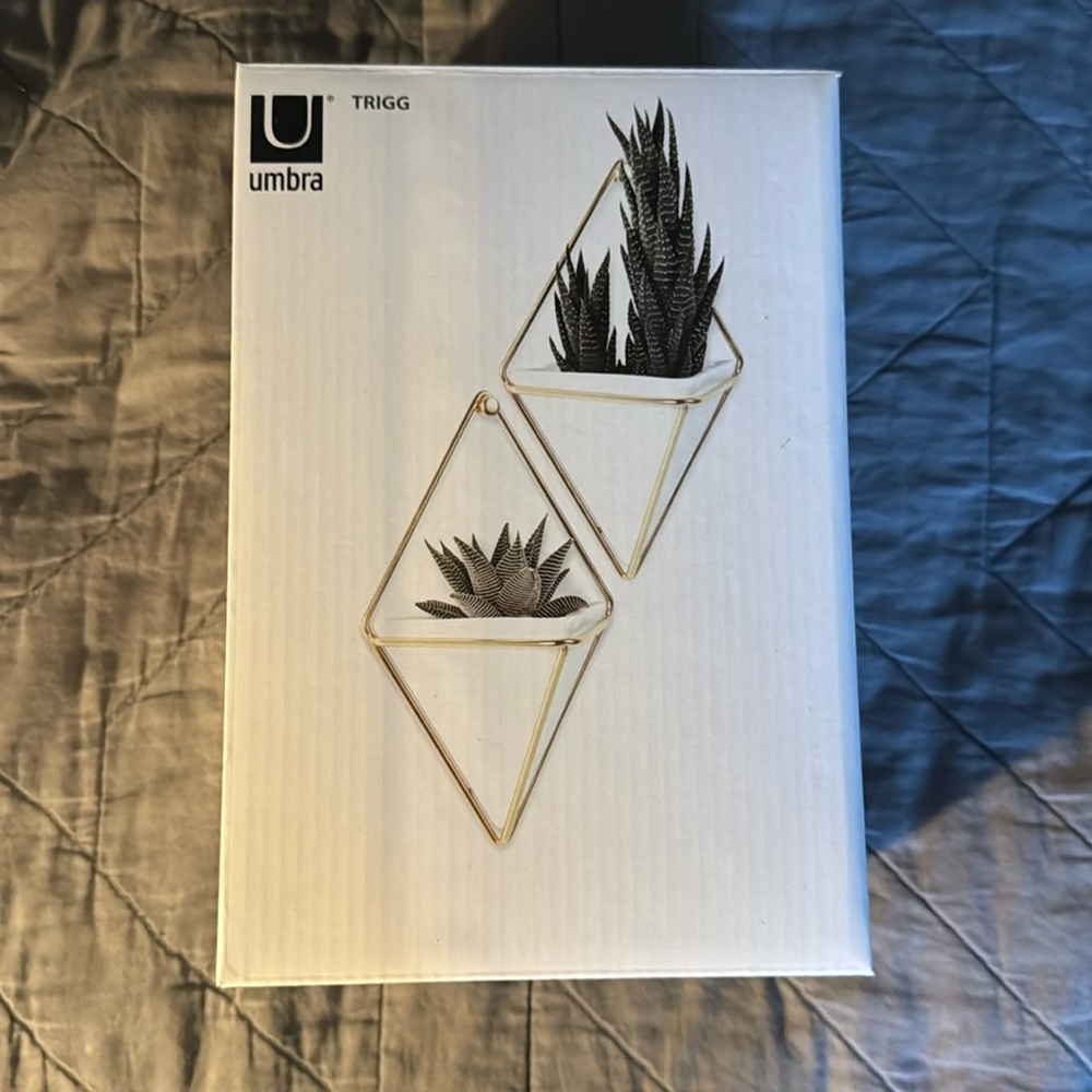 Umbra Wall Vessel set of two
